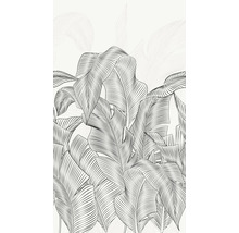 Ilustrace banánových listů jako dekorace na zeď