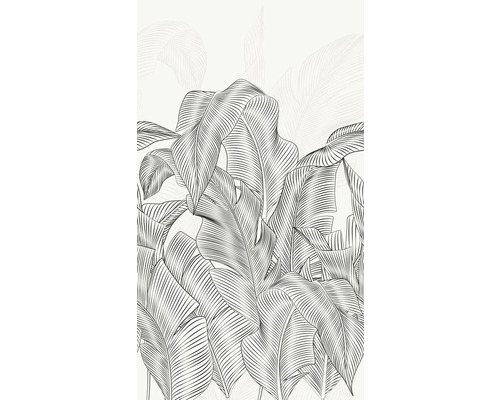 Ilustrace banánových listů jako dekorace na zeď