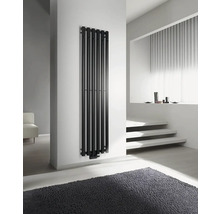 Černý radiátor v moderní koupelně s šedým kobercem