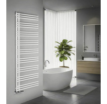 Koupelna s vanou, umyvadlem, zrcadlem, topným tělesem na ručníky a pokojovou rostlinou