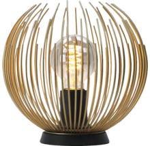 Stolní lampa s kovovou klecí a žárovkou
