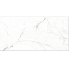 Dlaždice v dekoru mramoru s šedým žilkováním.