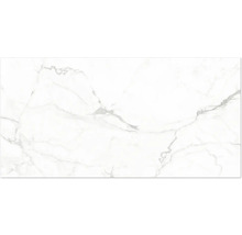 Dlažba z jemné kameniny se vzhledem mramoru s šedým žilkováním.