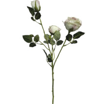 Umělá větvička růže se třemi krémovými květy a zelenými listy.