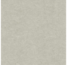 Šedá vliesová tapeta s jemnou strukturou v betonovém vzhledu.