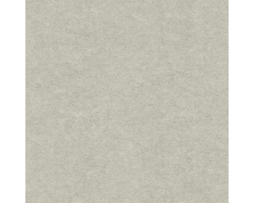 Šedá vliesová tapeta s jemnou strukturou v betonovém vzhledu.