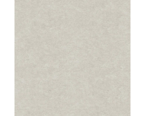 Jednobarevná vliesová tapeta s jemnou povrchovou strukturou v béžové barvě.