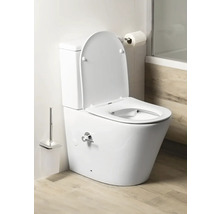 Stojící toaleta se splachovací nádržkou, otevřeným víkem a boční baterií v jasné koupelně s podlahou v dekoru dřeva.