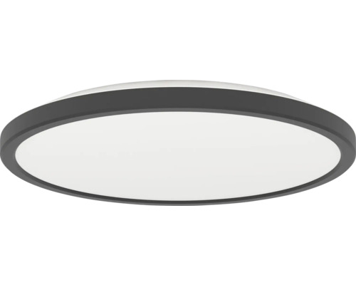 Kulaté, ploché stropní LED svítidlo s černým rámem a bílým difuzorem.