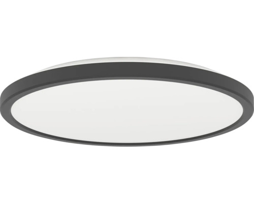 Kulaté ploché LED stropní svítidlo s černým okrajem a bílým difuzorem.