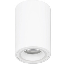 Válcové přisazené bodové svítidlo v bílé barvě pro montáž na strop.