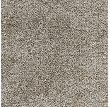 Béžový koberec s krátkým vlasem a strukturovaným povrchem.