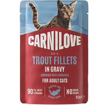 Krmivo pro kočky Carnilove s filety ze pstruha v omáčce pro dospělé kočky, 85 gramů kapsička, bez obilovin a přidaného cukru.