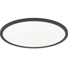 Kulaté stropní LED svítidlo s černým rámem a bílým difuzorem.