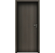 Moderní interiérové dveře v tmavém dekoru dřeva se stříbrnou klikou a zárubní.