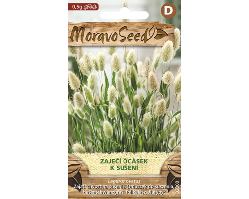 Zaječí ocásek Lagurus ovatus Sáček se semeny MoravoSeed Zaječí ocásek Lagurus ovatus s vyobrazením nadýchaných bílých květenství a zelených stébel.
