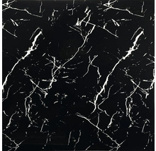Dlažba v mramorovém vzhledu černá s bílým žilkováním.