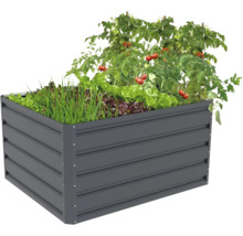 Obdélníkový vyvýšený záhon z antracitového kovu, osázený rajčaty, salátem a bylinkami.