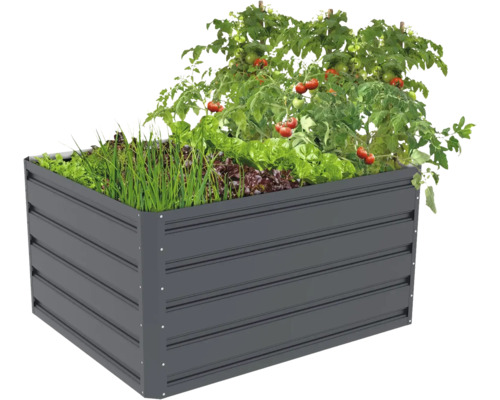 Obdélníkový vyvýšený záhon z antracitového kovu, osázený rajčaty, salátem a bylinkami.