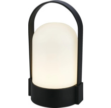 Moderní přenosná stolní lampa s černou základnou a rukojetí a bílou průsvitnou kopulí.