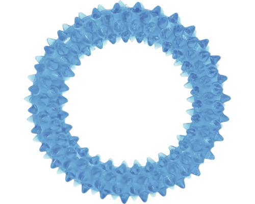 Modrý gumový kousací kruh pro psy s výstupky pro péči o zuby.