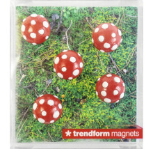 Sada pěti kulatých magnetů se vzorem muchomůrky na zeleném mechu, Trendform magnets Logo.