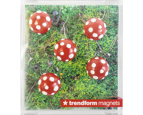 Sada pěti kulatých magnetů se vzorem muchomůrky na zeleném mechu, Trendform magnets Logo.
