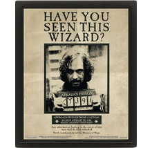 Plakát Harry Potter Sirius Black Have You Seen This Wizard v černém rámu