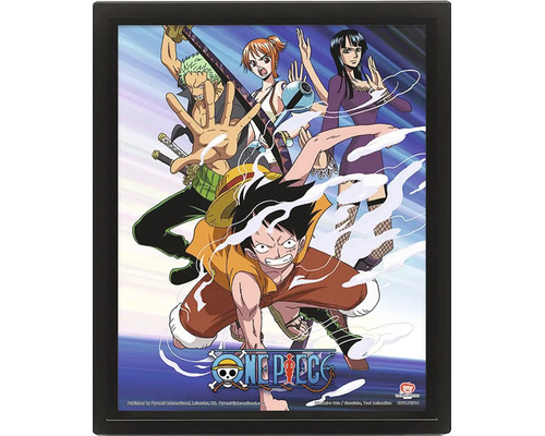 3D lentikulární plakát One Piece s postavami Luffy, Zoro, Nami a Robin v černém rámu s logem One Piece.