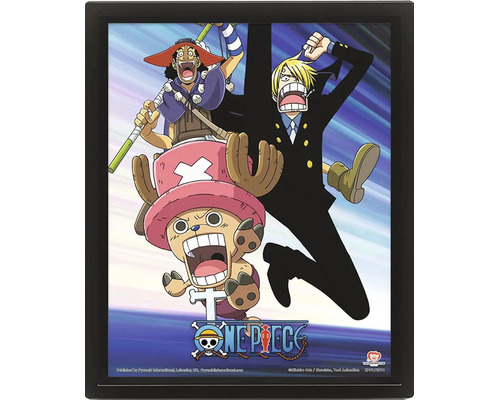 Trojrozměrný plakát One Piece s postavami Usopp, Sanji a Chopper v černém rámu.