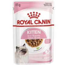 Royal Canin Logo, mokré krmivo Royal Canin Kitten, kousky v omáčce, 85 gramů, pro koťata do 12 měsíců, bez konzervantů.