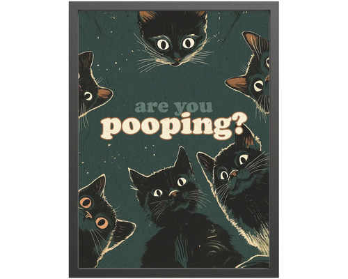 Rámovaný plakát s černým rámem, ilustracemi černých koček a textem are you pooping?