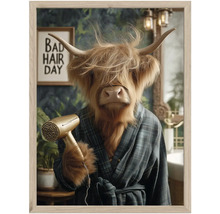 Zarámovaný obraz se skotským náhorním skotem v kostkovaném županu s fénem a nápisem Bad Hair Day v koupelně.