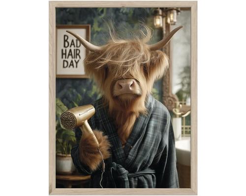 Zarámovaný obraz se skotským náhorním skotem v kostkovaném županu s fénem a nápisem Bad Hair Day v koupelně.