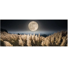 Fototapeta panorama s úplňkem nad polem s okrasnými travinami a horami v pozadí
