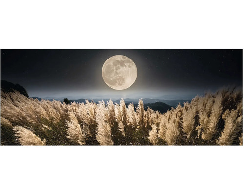 Fototapeta panorama s úplňkem nad polem s okrasnými travinami a horami v pozadí