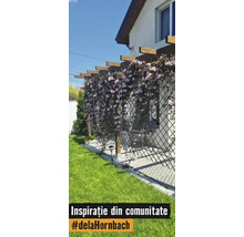 Dřevěná pergola s mřížkou a kvetoucími popínavými rostlinami na terase u domu vedle trávníku.
