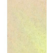 Vliesová tapeta Trend Spectrum 390363 metalický efekt béžová, zlatá 53 x 1005 cm