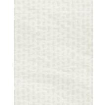 Vliesová tapeta Trend Spectrum 792531 s efektem šedá, bílá 53 x 1005 cm