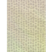 Vliesová tapeta Trend Spectrum 792533 s efektem béžová, stříbrná 53 x 1005 cm