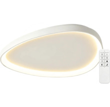 Moderní asymetrické stropní LED svítidlo s teplým bílým světlem a dálkovým ovládáním.