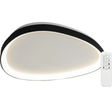 Stmívatelné stropní LED svítidlo v asymetrickém, organickém tvaru s dálkovým ovládáním.