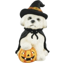 Dekorativní figurka pes čeroděj s dýní halloween s LED osvětlením 24 x 26 x 37 cm magnesium