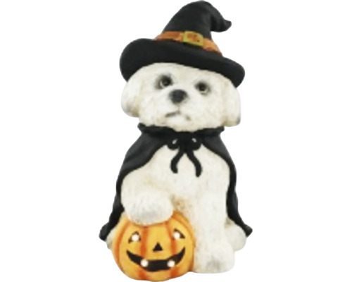 Dekorativní figurka pes čeroděj s dýní halloween s LED osvětlením 24 x 26 x 37 cm magnesium