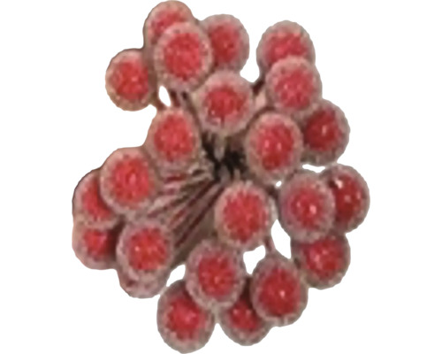 Přízdoba kuličky omrzlé 10 x 1 cm
