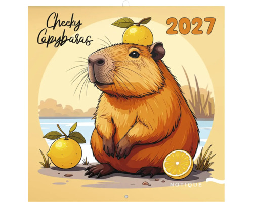 Nástěnný kalendář 2027 s ilustrací kapybary s citrusovými plody