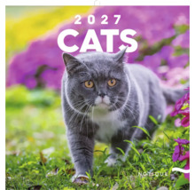 Nastenny kalendar s motivem kocek pro rok 2027 s kockou na zahrade