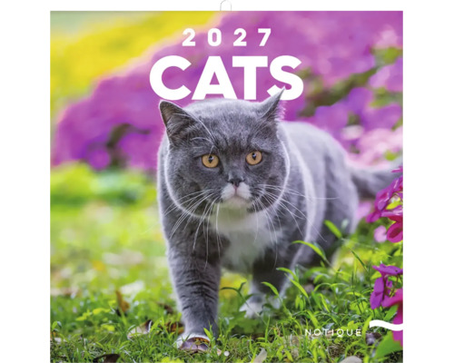 Nastenny kalendar s motivem kocek pro rok 2027 s kockou na zahrade