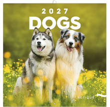 Nástěnný kalendář Psi 2027 se dvěma psy na louce s květinami