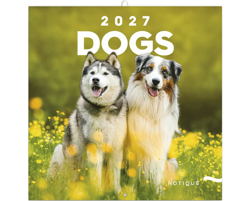 Nástěnný kalendář Psi 2027 se dvěma psy na louce s květinami